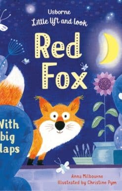 Little Lift and Look Red Fox