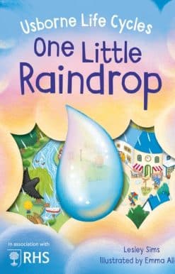 One Little Raindrop