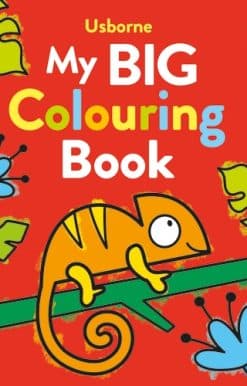 My Big Colouring Book