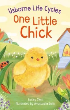 One Little Chick