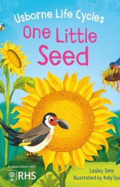 One Little Seed