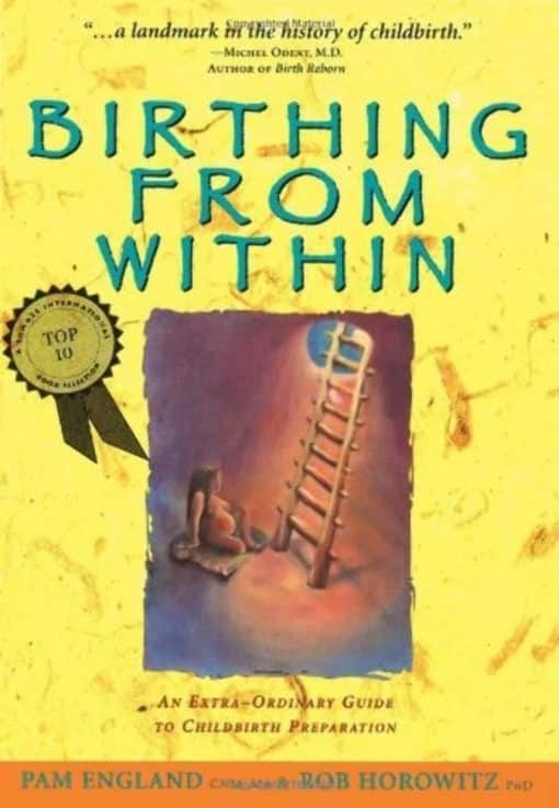 Birthing from within: An Extra-Ordinary Guide to Childbirth Preparation