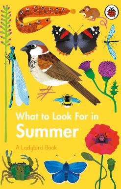 What to Look For in Summer