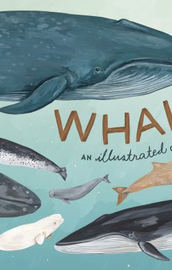 Whales: An Illustrated Celebration