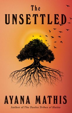 The Unsettled: A novel
