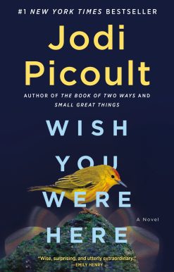 Wish You Were Here: A Novel