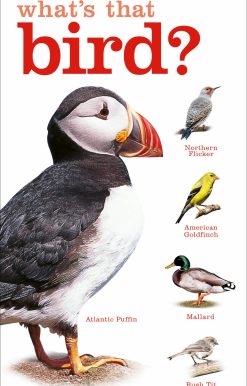 What's that Bird?: A Beginner's Guide