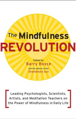 The Mindfulness Revolution: Leading Psychologists, Scientists, Artists, and Meditation Teachers on the Power of Mindfulness in Daily Life
