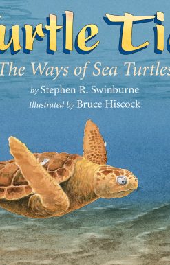 Turtle Tide: The Ways of Sea Turtles