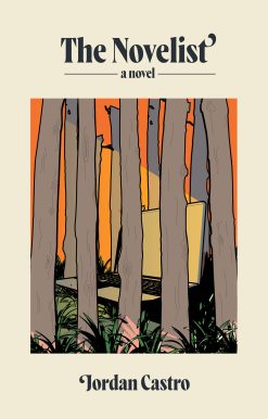 The Novelist: A Novel
