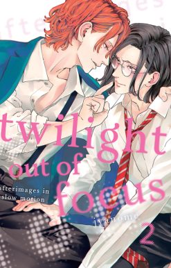 Twilight Out of Focus 2: Afterimages in Slow Motion